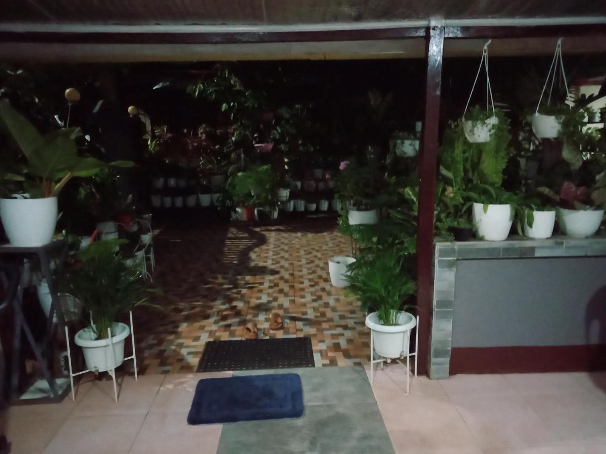 Dalinda'S Homestay プエルト・プリンセサ エクステリア 写真
