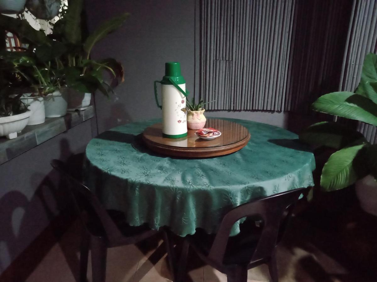 Dalinda'S Homestay プエルト・プリンセサ エクステリア 写真